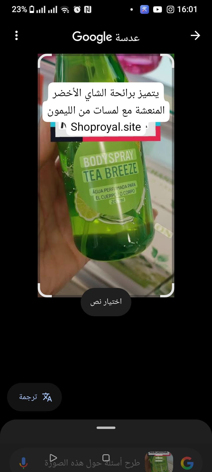 سبري tea breeze
